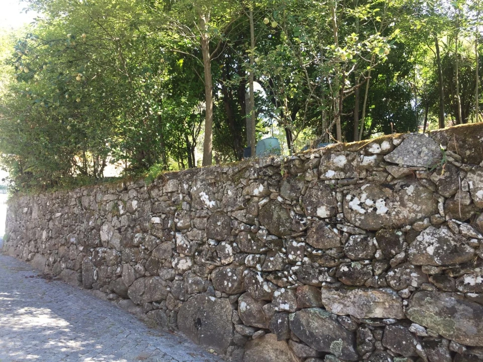 Terreno para Venda em Creixomil e Mariz Foto 5