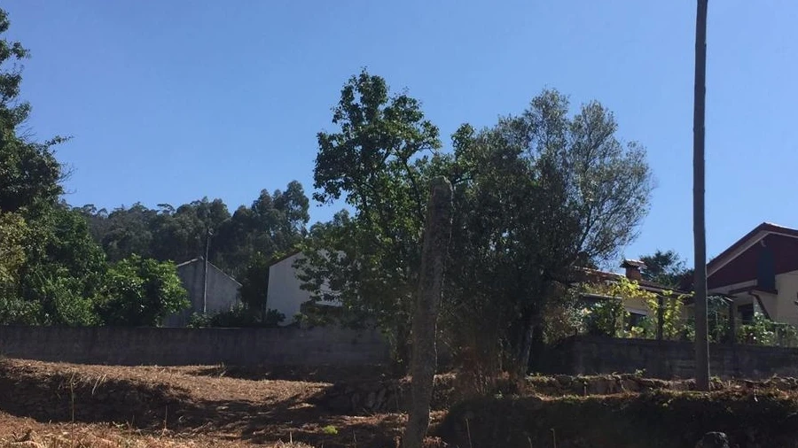 Terreno para Venda em Creixomil e Mariz