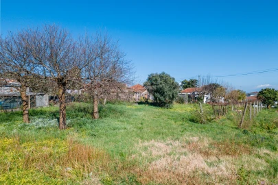 Moradia T4 para Venda em Galegos (Santa Maria)