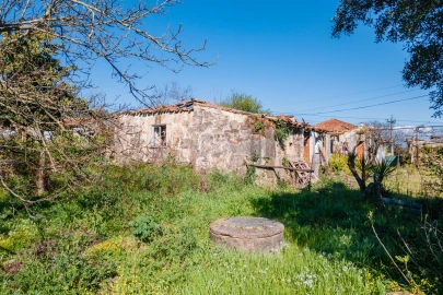 Moradia T4 para Venda em Galegos (Santa Maria)