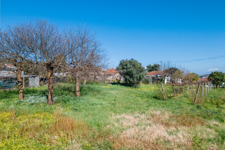 Moradia T4 para Venda em Galegos (Santa Maria) Foto 33