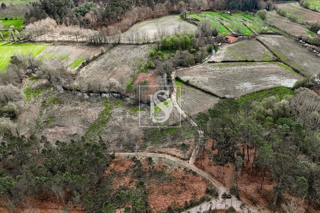 Terreno Agricola ou Rústico para Venda em Associação de Freguesias do Vale do Neiva Foto 20