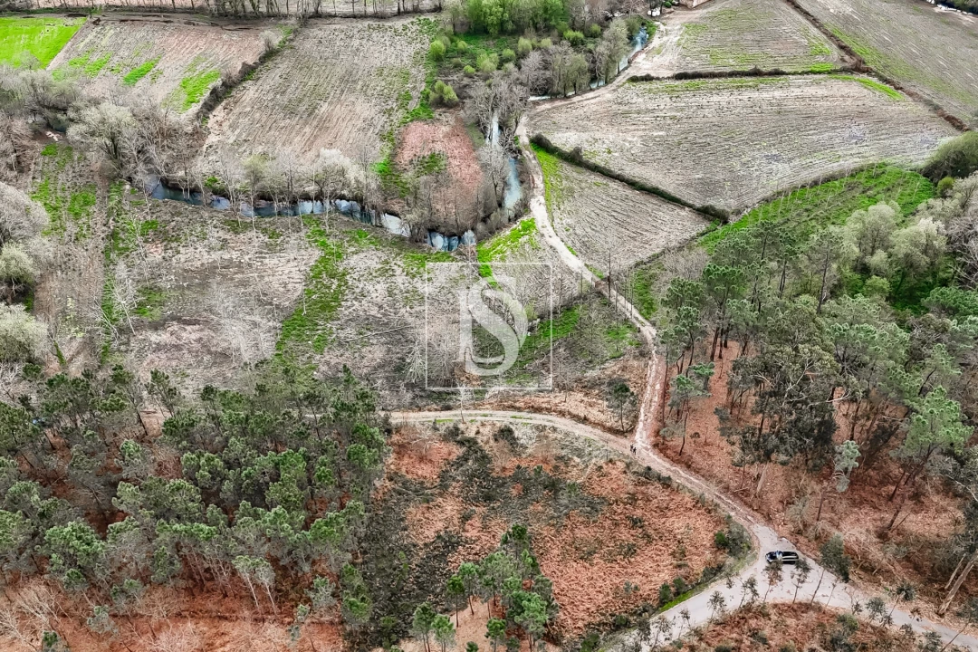 Terreno Agricola ou Rústico para Venda em Associação de Freguesias do Vale do Neiva Foto 8