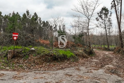 Terreno Agricola ou Rústico para Venda em Associação de Freguesias do Vale do Neiva