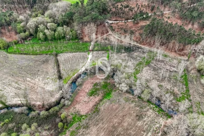 Terreno Agricola ou Rústico para Venda em Associação de Freguesias do Vale do Neiva