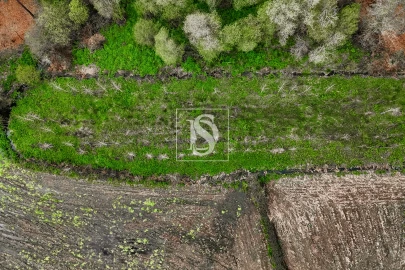 Terreno Agricola ou Rústico para Venda em Associação de Freguesias do Vale do Neiva