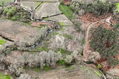 Terreno Agricola ou Rústico para Venda em Associação de Freguesias do Vale do Neiva