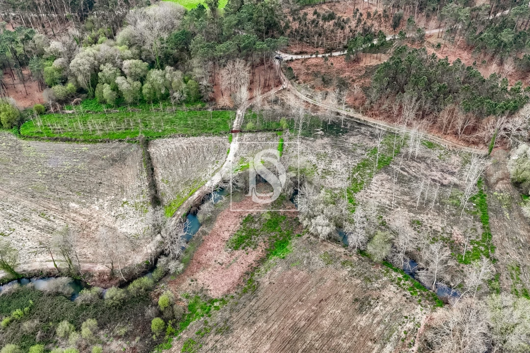 Terreno Agricola ou Rústico para Venda em Associação de Freguesias do Vale do Neiva Foto 12