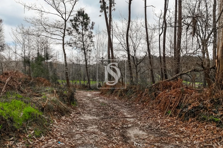 Terreno Agricola ou Rústico para Venda em Associação de Freguesias do Vale do Neiva Foto 2