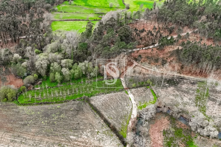 Terreno Agricola ou Rústico para Venda em Associação de Freguesias do Vale do Neiva Foto 13