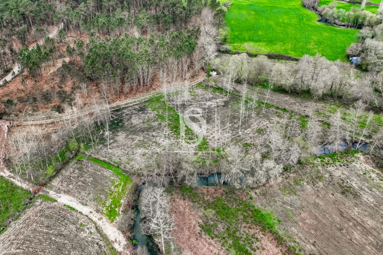 Terreno Agricola ou Rústico para Venda em Associação de Freguesias do Vale do Neiva Foto 17