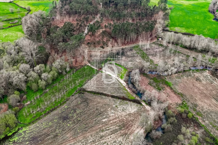 Terreno Agricola ou Rústico para Venda em Associação de Freguesias do Vale do Neiva Foto 15