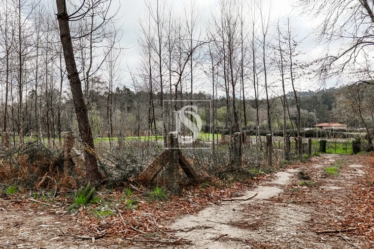 Terreno Agricola ou Rústico para Venda em Associação de Freguesias do Vale do Neiva Foto 3