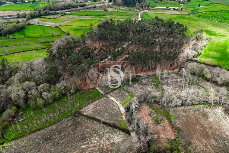 Terreno Agricola ou Rústico para Venda em Associação de Freguesias do Vale do Neiva Foto 18