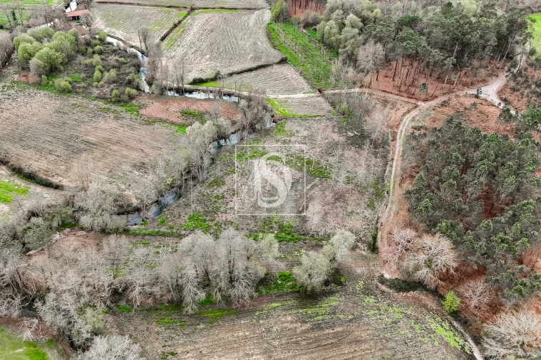 Terreno Agricola ou Rústico para Venda em Associação de Freguesias do Vale do Neiva Foto 10