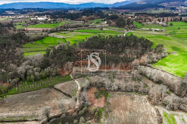 Terreno Agricola ou Rústico para Venda em Associação de Freguesias do Vale do Neiva Foto 6