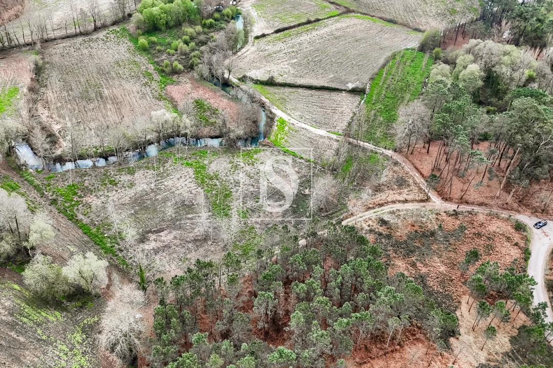 Terreno Agricola ou Rústico para Venda em Associação de Freguesias do Vale do Neiva Foto 9