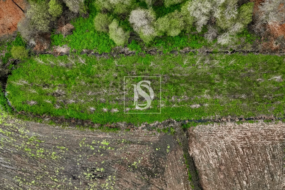 Terreno Agricola ou Rústico para Venda em Associação de Freguesias do Vale do Neiva Foto 16
