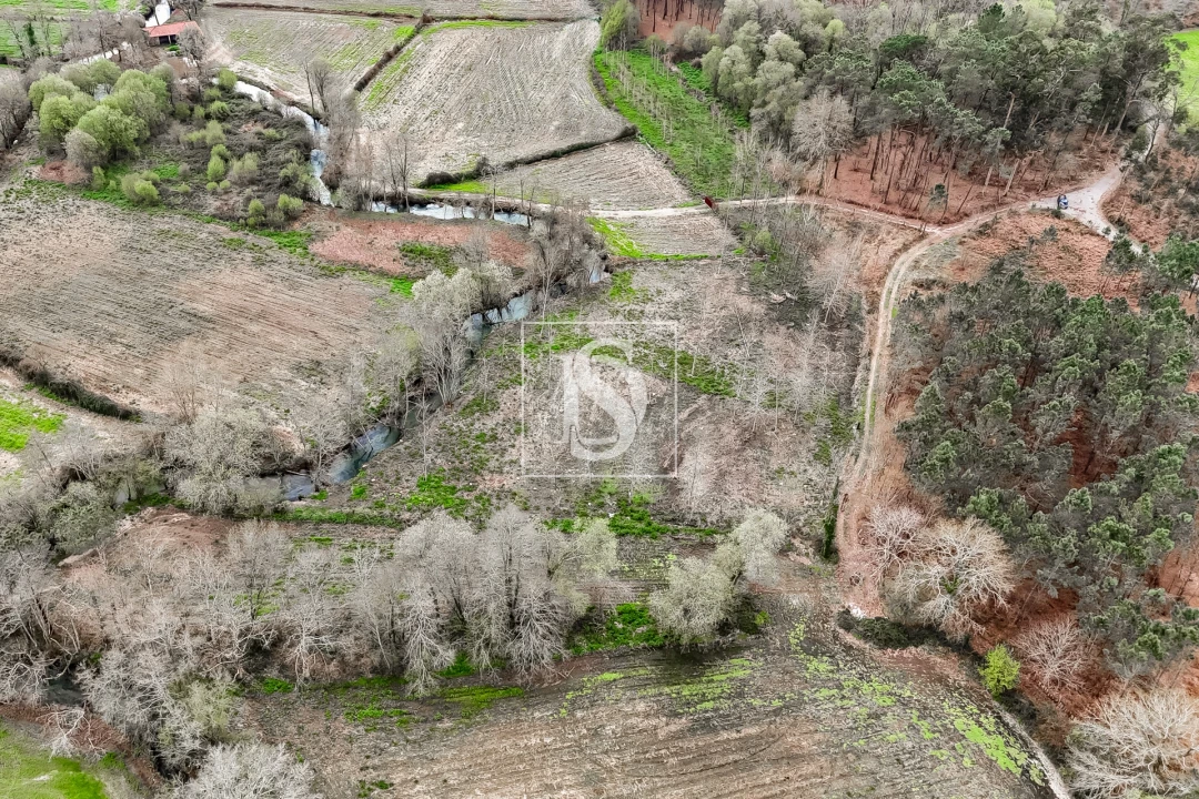 Terreno Agricola ou Rústico para Venda em Associação de Freguesias do Vale do Neiva Foto 10