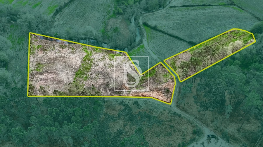 Terreno Agricola ou Rústico para Venda em Associação de Freguesias do Vale do Neiva