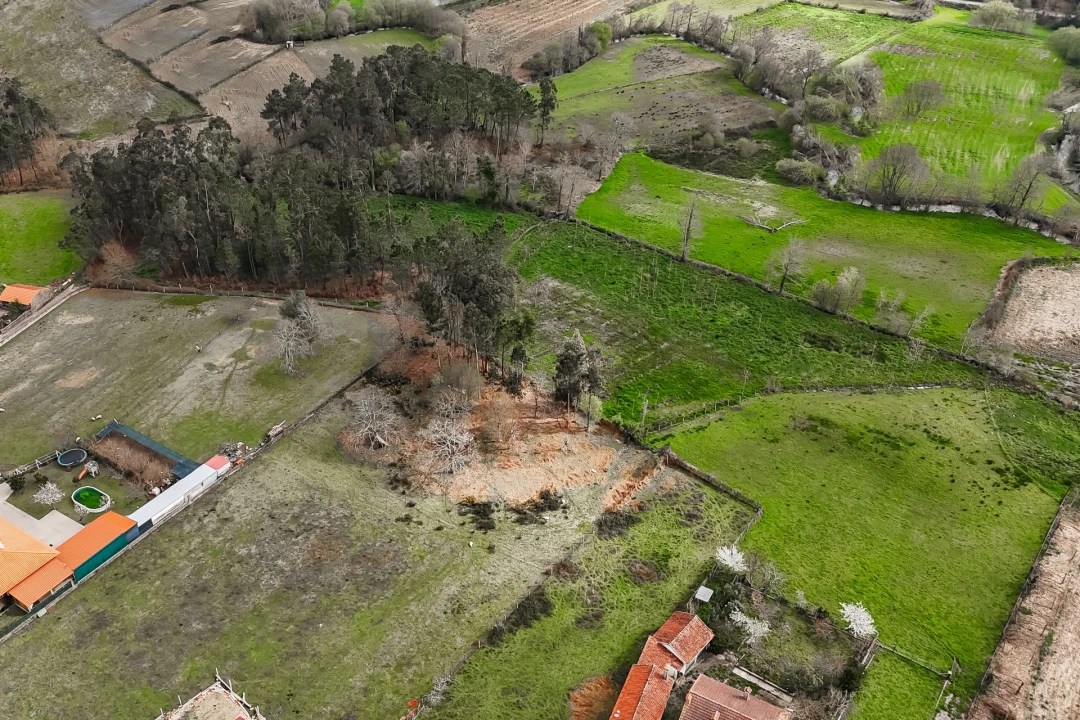Terreno Agricola ou Rústico para Venda em Associação de Freguesias do Vale do Neiva Foto 13