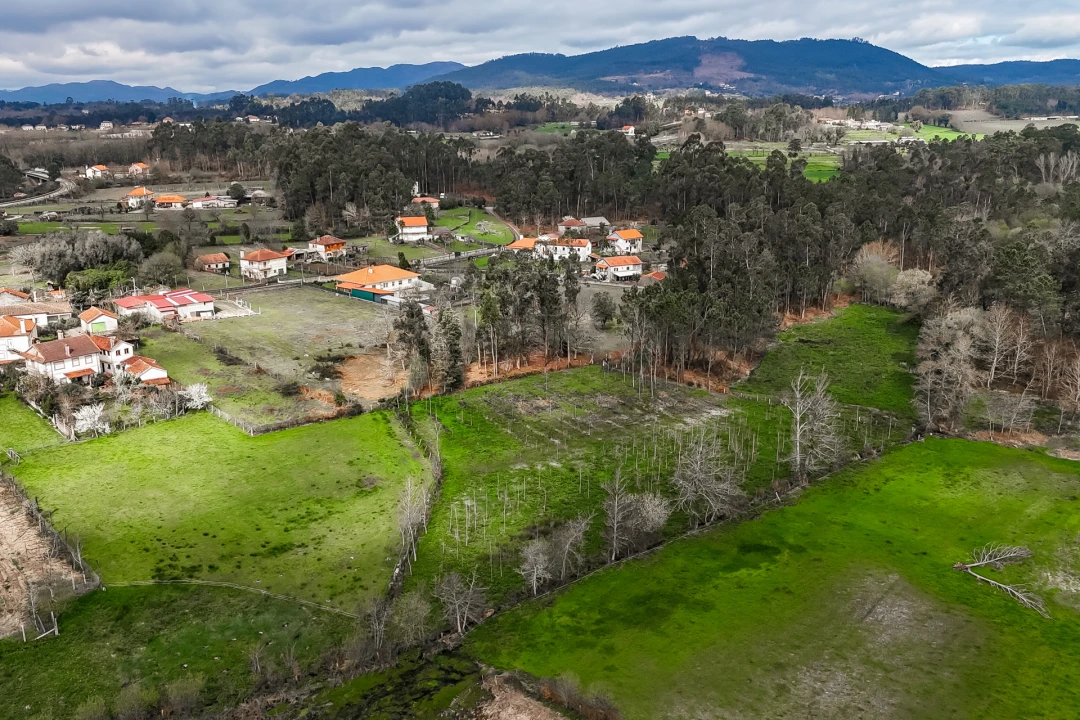 Terreno Agricola ou Rústico para Venda em Associação de Freguesias do Vale do Neiva Foto 4