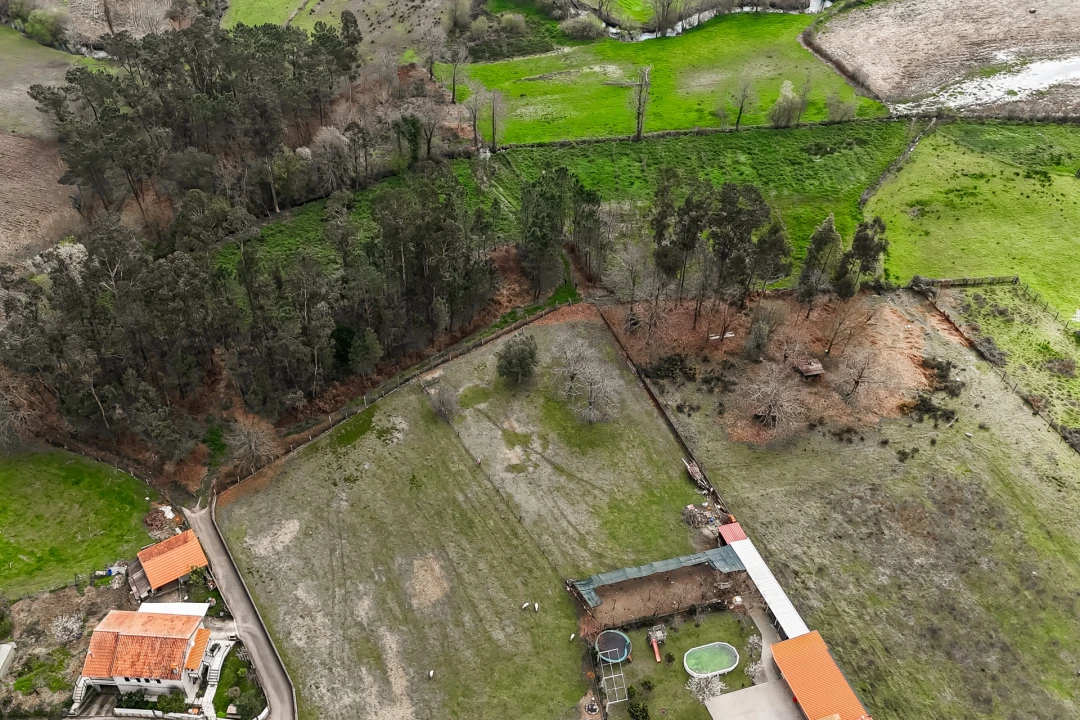 Terreno Agricola ou Rústico para Venda em Associação de Freguesias do Vale do Neiva Foto 16