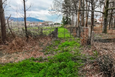 Terreno Agricola ou Rústico para Venda em Associação de Freguesias do Vale do Neiva