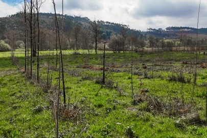 Terreno Agricola ou Rústico para Venda em Associação de Freguesias do Vale do Neiva