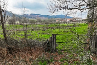 Terreno Agricola ou Rústico para Venda em Associação de Freguesias do Vale do Neiva