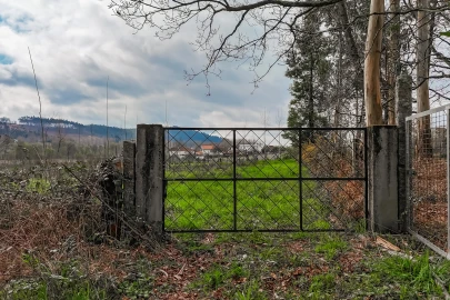 Terreno Agricola ou Rústico para Venda em Associação de Freguesias do Vale do Neiva