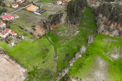 Terreno Agricola ou Rústico para Venda em Associação de Freguesias do Vale do Neiva