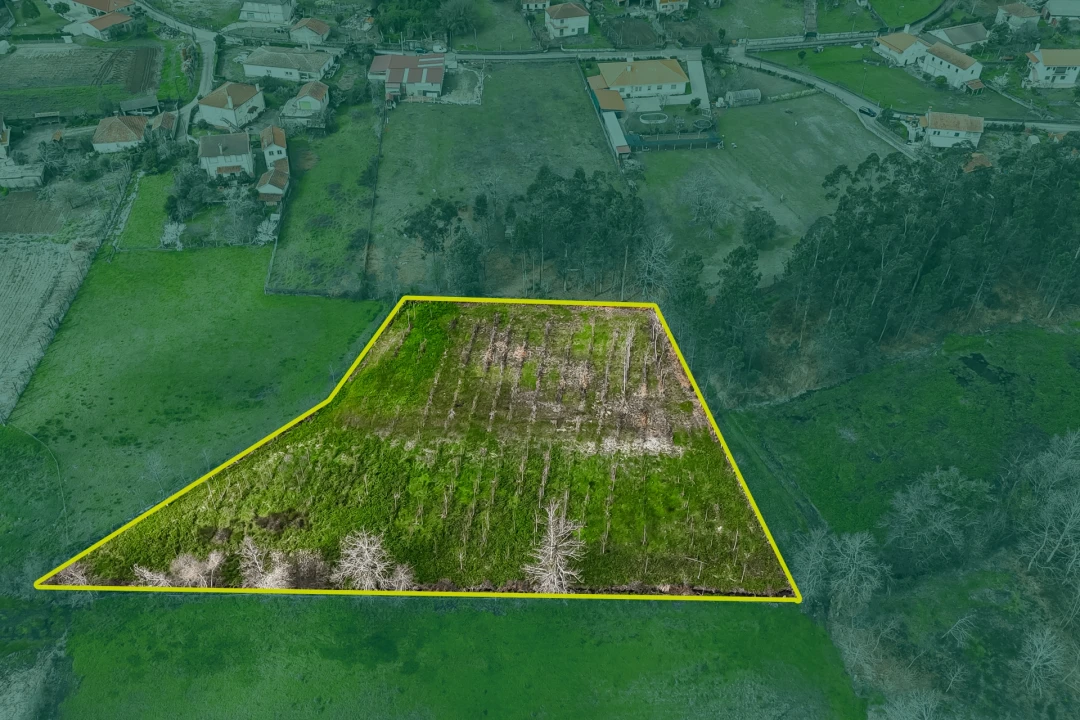 Terreno Agricola ou Rústico para Venda em Associação de Freguesias do Vale do Neiva Foto 1