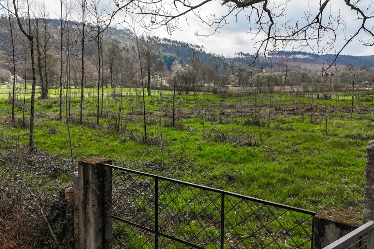 Terreno Agricola ou Rústico para Venda em Associação de Freguesias do Vale do Neiva Foto 23
