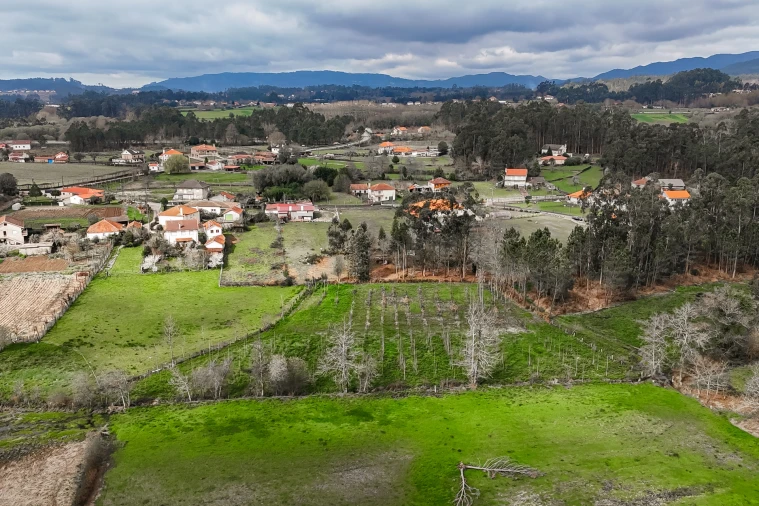 Terreno Agricola ou Rústico para Venda em Associação de Freguesias do Vale do Neiva Foto 6