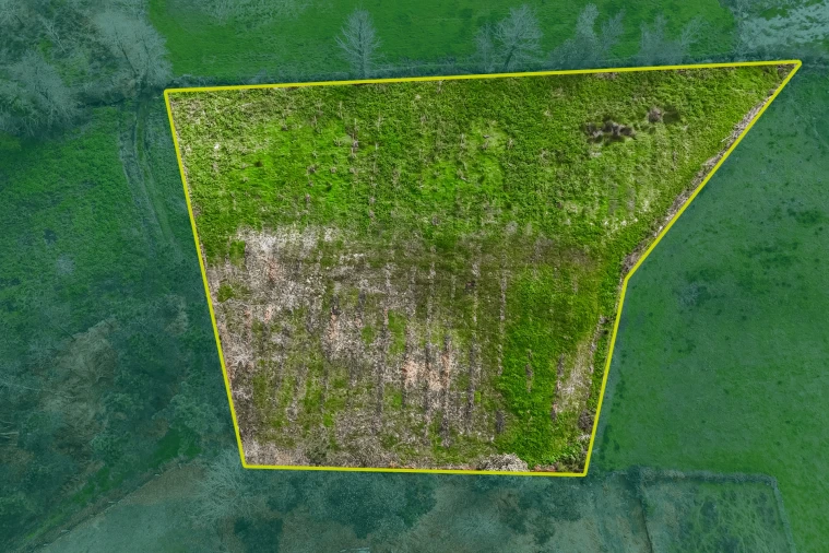 Terreno Agricola ou Rústico para Venda em Associação de Freguesias do Vale do Neiva Foto 17