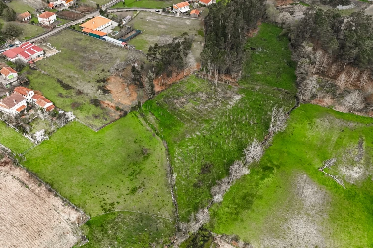 Terreno Agricola ou Rústico para Venda em Associação de Freguesias do Vale do Neiva Foto 11