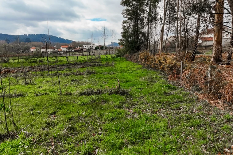Terreno Agricola ou Rústico para Venda em Associação de Freguesias do Vale do Neiva Foto 22