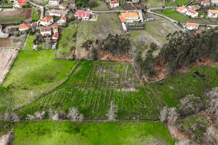 Terreno Agricola ou Rústico para Venda em Associação de Freguesias do Vale do Neiva Foto 10