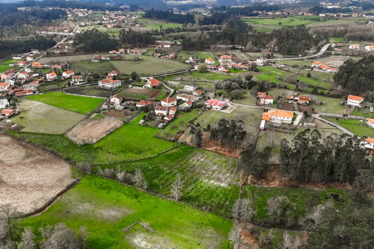 Terreno Agricola ou Rústico para Venda em Associação de Freguesias do Vale do Neiva Foto 9