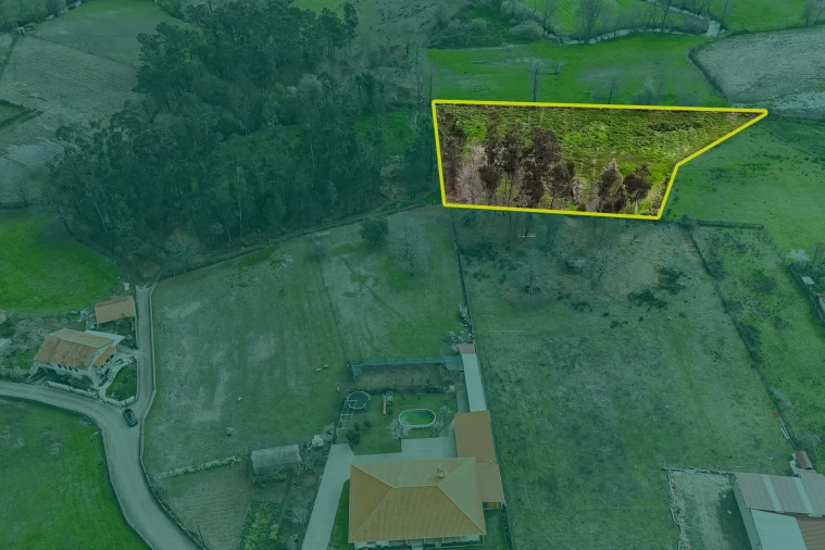 Terreno Agricola ou Rústico para Venda em Associação de Freguesias do Vale do Neiva Foto 14