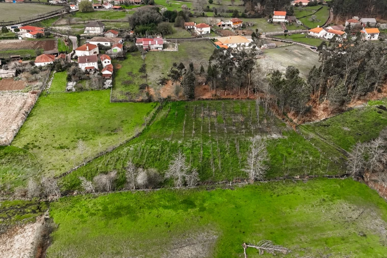 Terreno Agricola ou Rústico para Venda em Associação de Freguesias do Vale do Neiva Foto 7