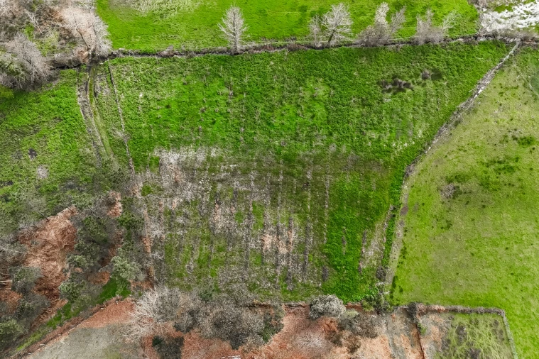 Terreno Agricola ou Rústico para Venda em Associação de Freguesias do Vale do Neiva Foto 18
