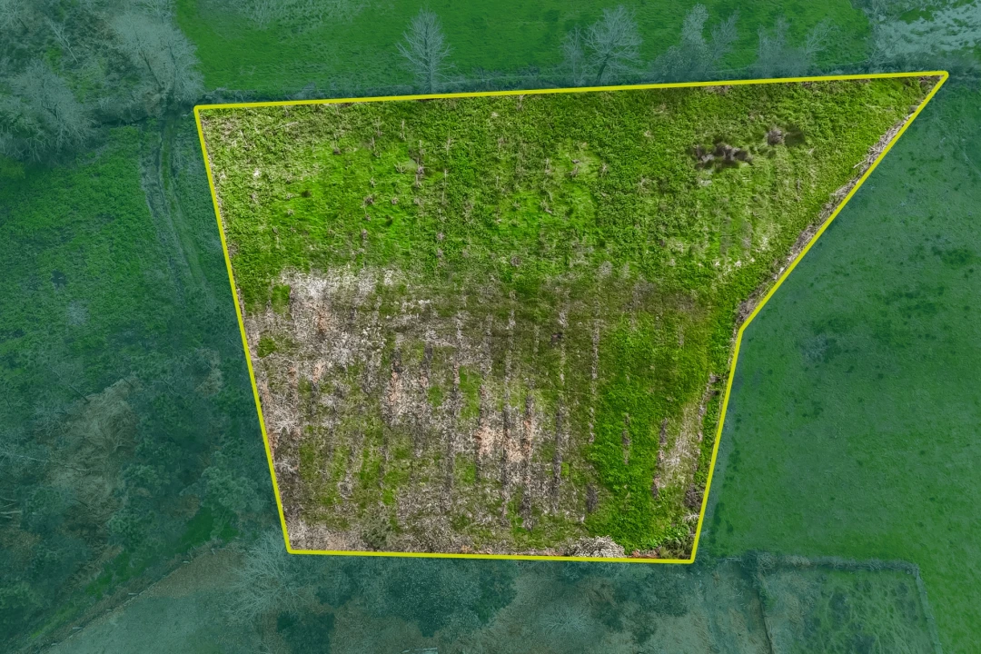 Terreno Agricola ou Rústico para Venda em Associação de Freguesias do Vale do Neiva Foto 17