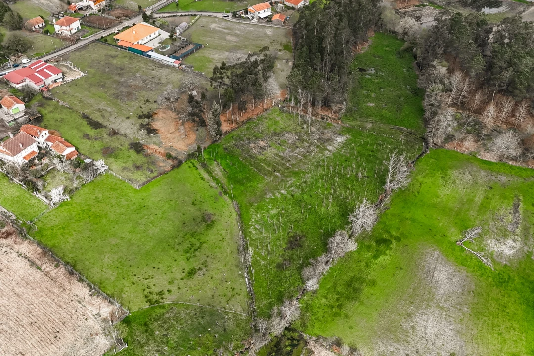 Terreno Agricola ou Rústico para Venda em Associação de Freguesias do Vale do Neiva Foto 11