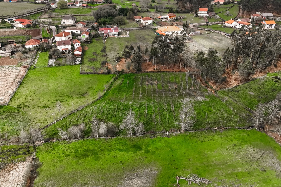 Terreno Agricola ou Rústico para Venda em Associação de Freguesias do Vale do Neiva Foto 7