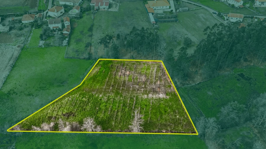 Terreno Agricola ou Rústico para Venda em Associação de Freguesias do Vale do Neiva