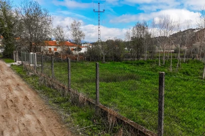 Terreno Agricola ou Rústico para Venda em Associação de Freguesias do Vale do Neiva