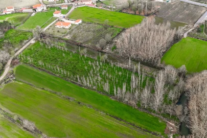 Terreno Agricola ou Rústico para Venda em Associação de Freguesias do Vale do Neiva