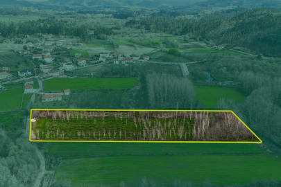 Terreno Agricola ou Rústico para Venda em Associação de Freguesias do Vale do Neiva